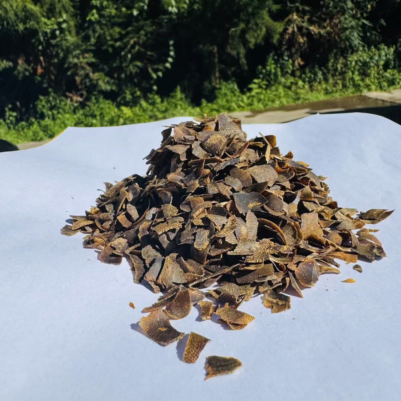 1【奇-楠-沉-香】净含量3g-30g【阿虎现收】