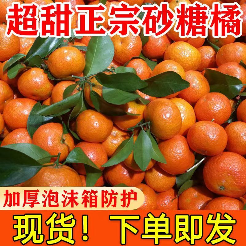 【现货】正宗广西沙糖桔应当季水果新鲜砂糖桔薄皮砂糖橘整箱批发