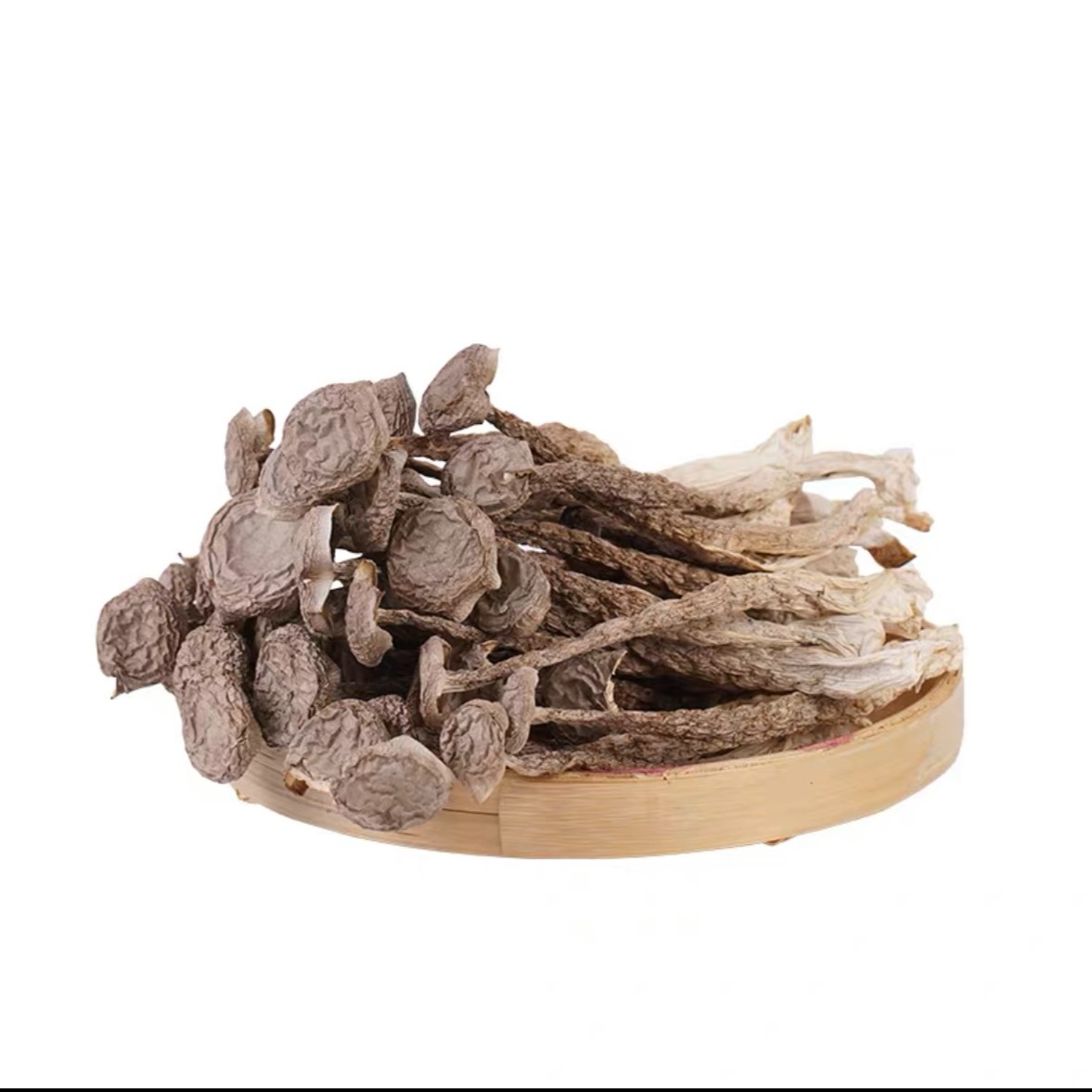 鹿茸菇新货上市脆脆嫩嫩菇250g －500g煲汤鲜美