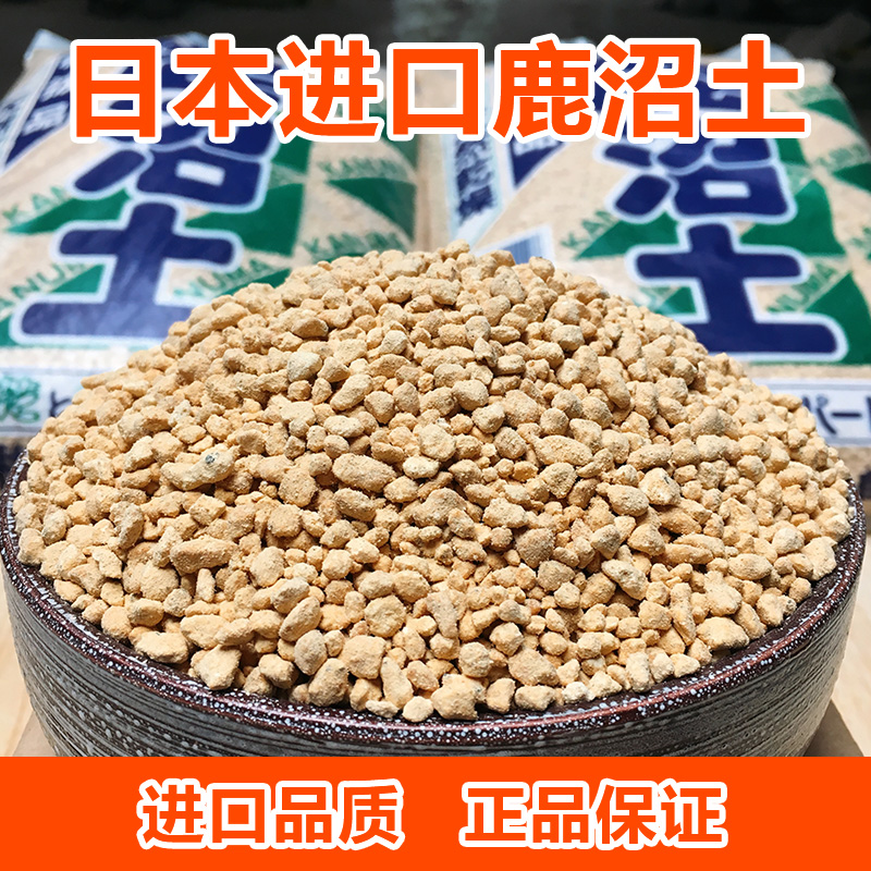 鹿沼土日本进口多肉铺面石种植土盆景酸性颗粒土丰收季