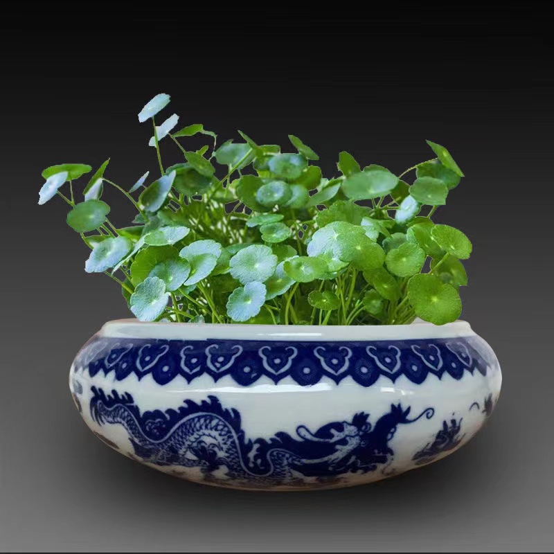 景德镇陶瓷青花瓷龙纹小鱼缸乌龟缸外径15高度3.5