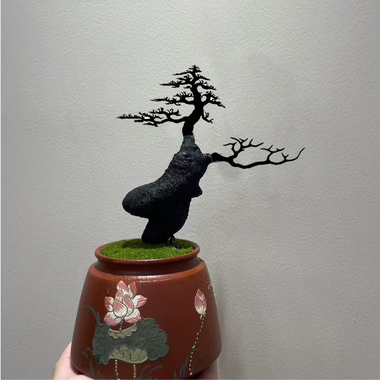 灌木金弹子瓶兰花赏花赏果高档盆景素材付款下单链接