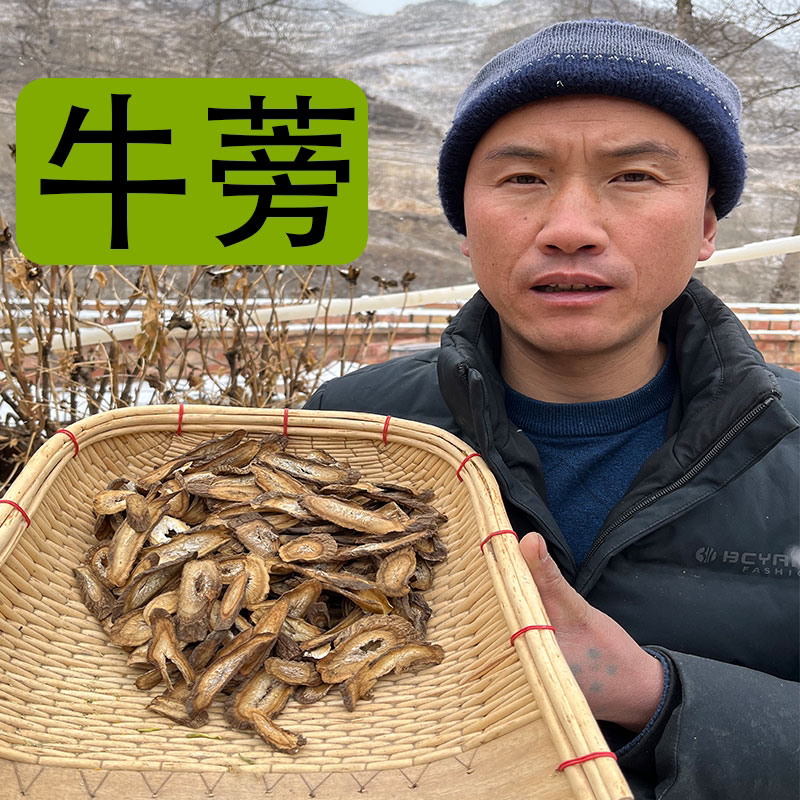 【牛蒡茶】甘肃高原采挖牛蒡根多年生非种植的