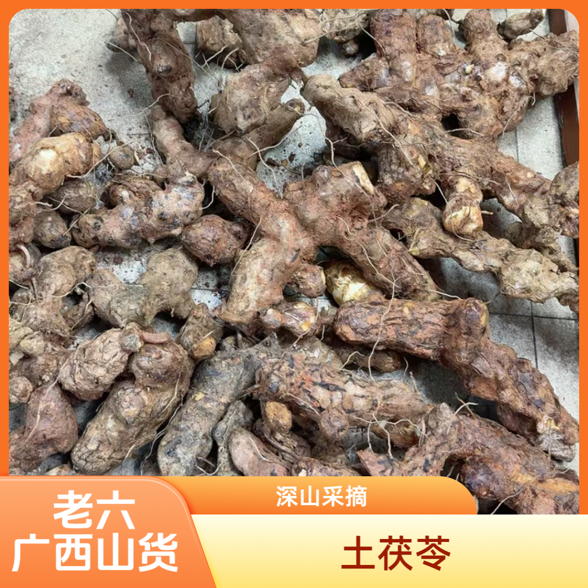 广西潘老六深山也生土茯苓干货500克