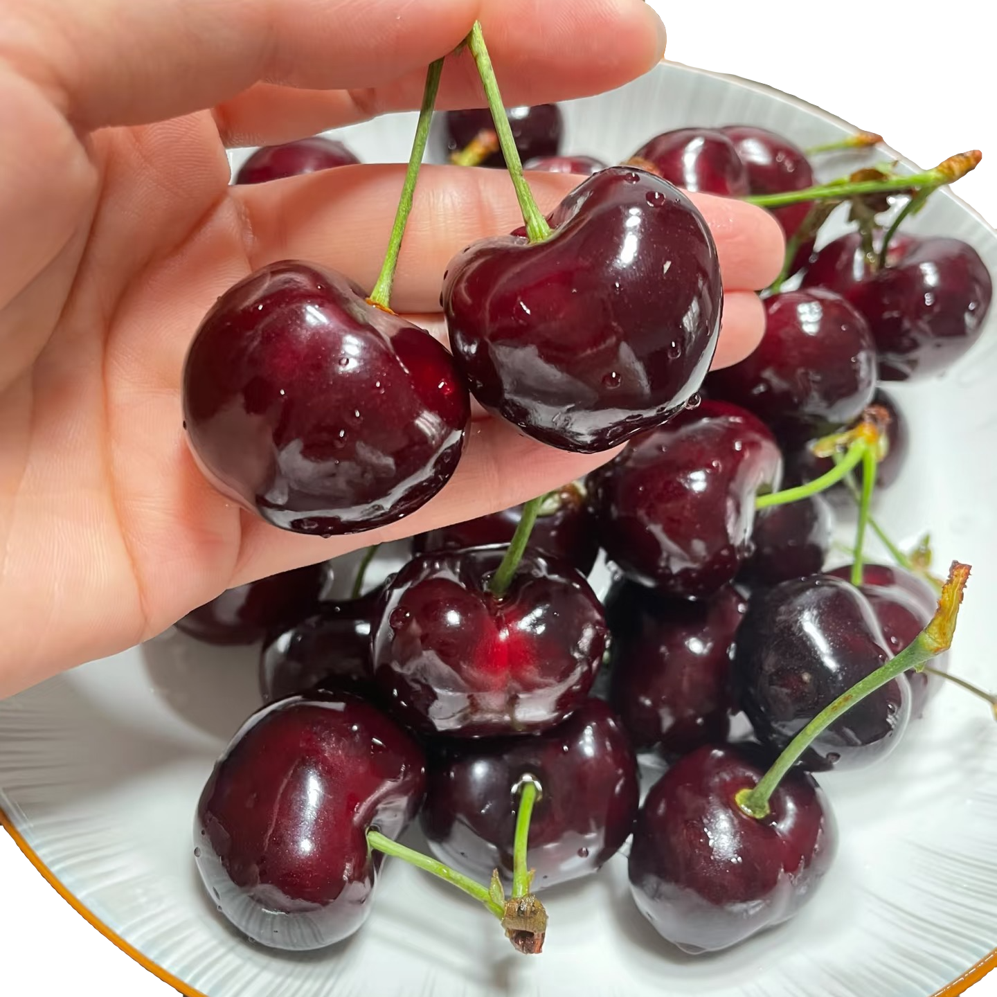 拉宾斯 智利海运进口车厘子 5J-3J 5斤 装 顺丰包邮 内附果径卡