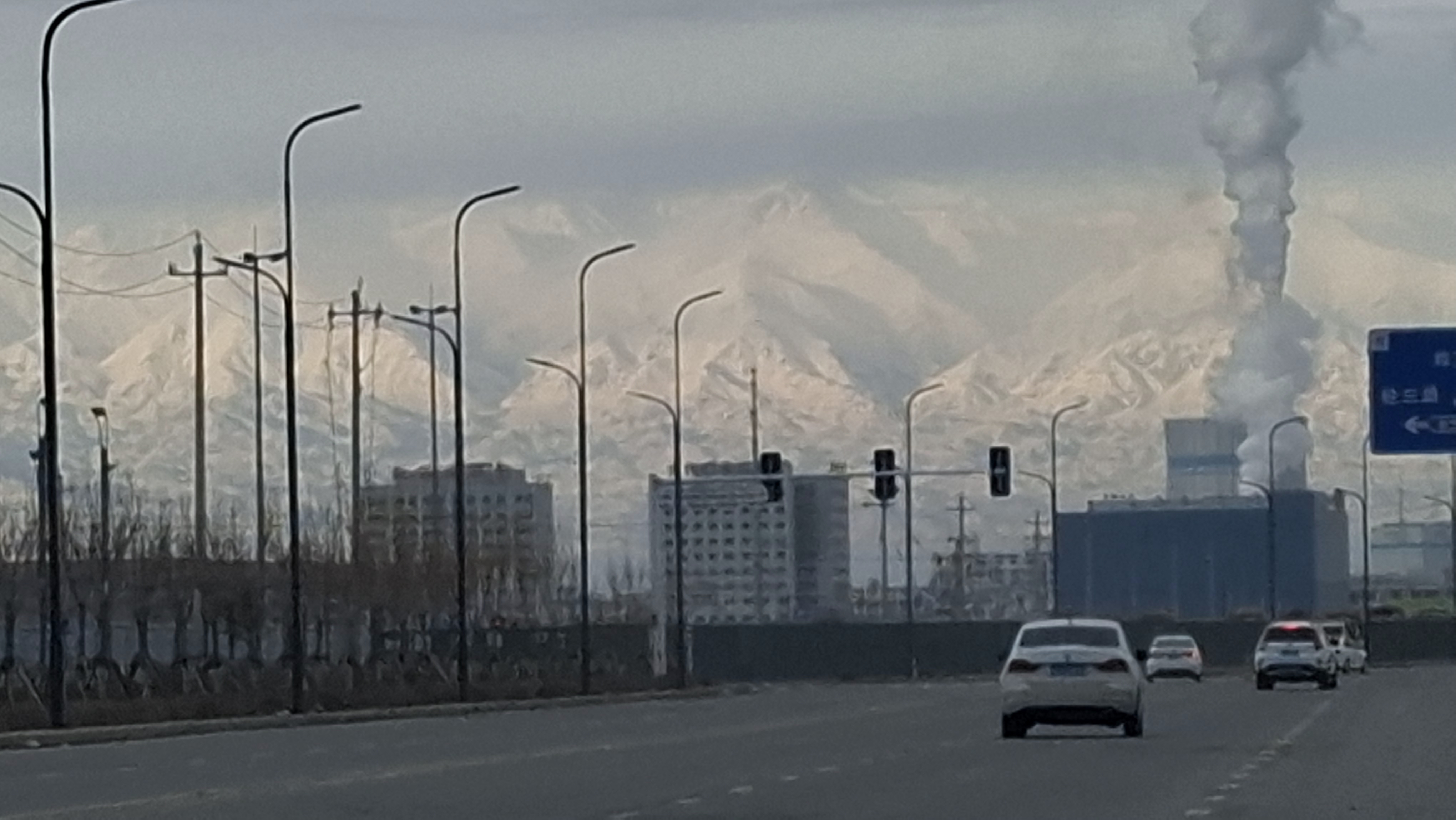 新疆哈密戈壁奇石