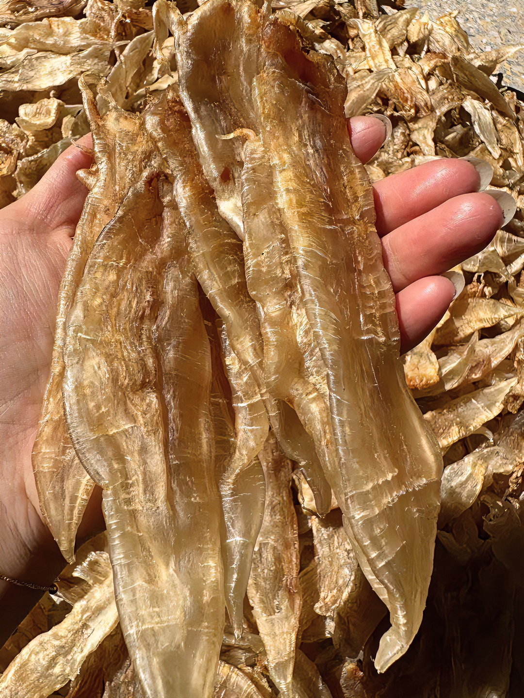 097水晶鳘鱼胶500克