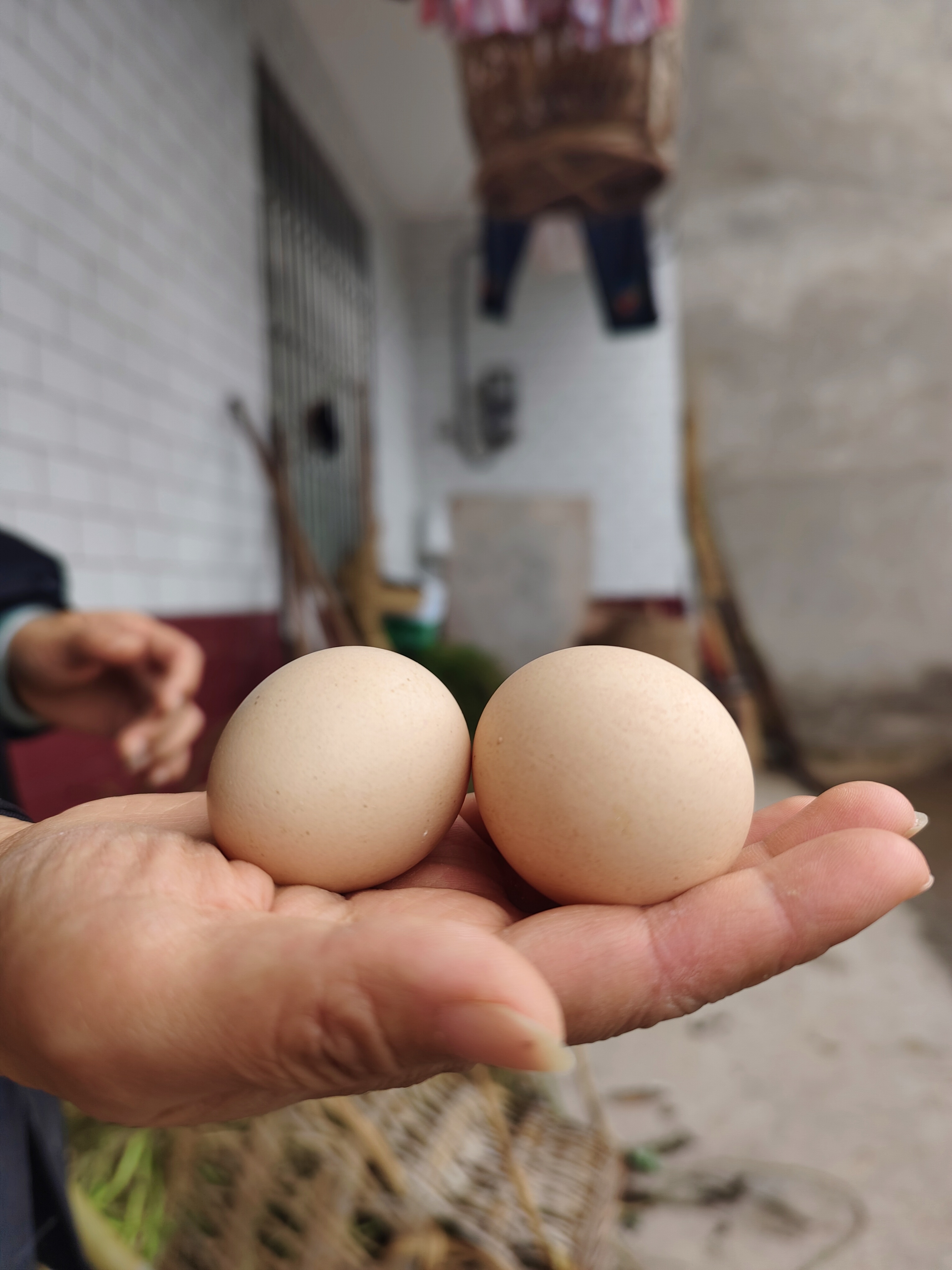 粮食土鸡蛋农村散养土鸡蛋农民自家母鸡蛋新鲜土鸡蛋30个装