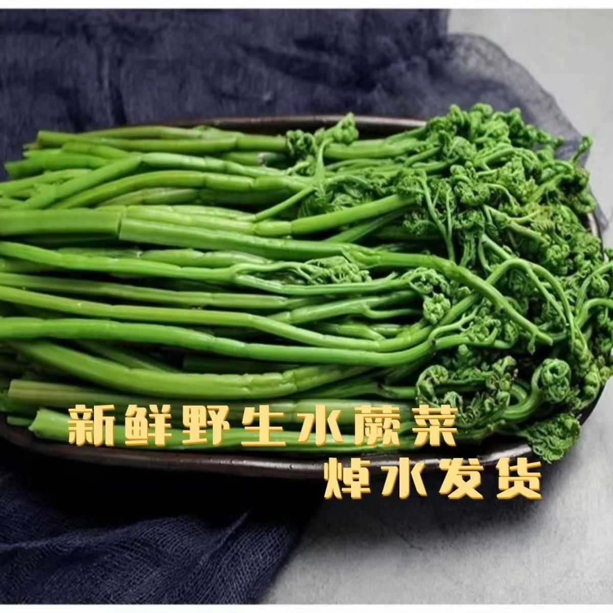 25年蕨菜野菜东北特产新鲜焯水山蕨菜水蕨菜凉拌爆炒蘸酱菜500g