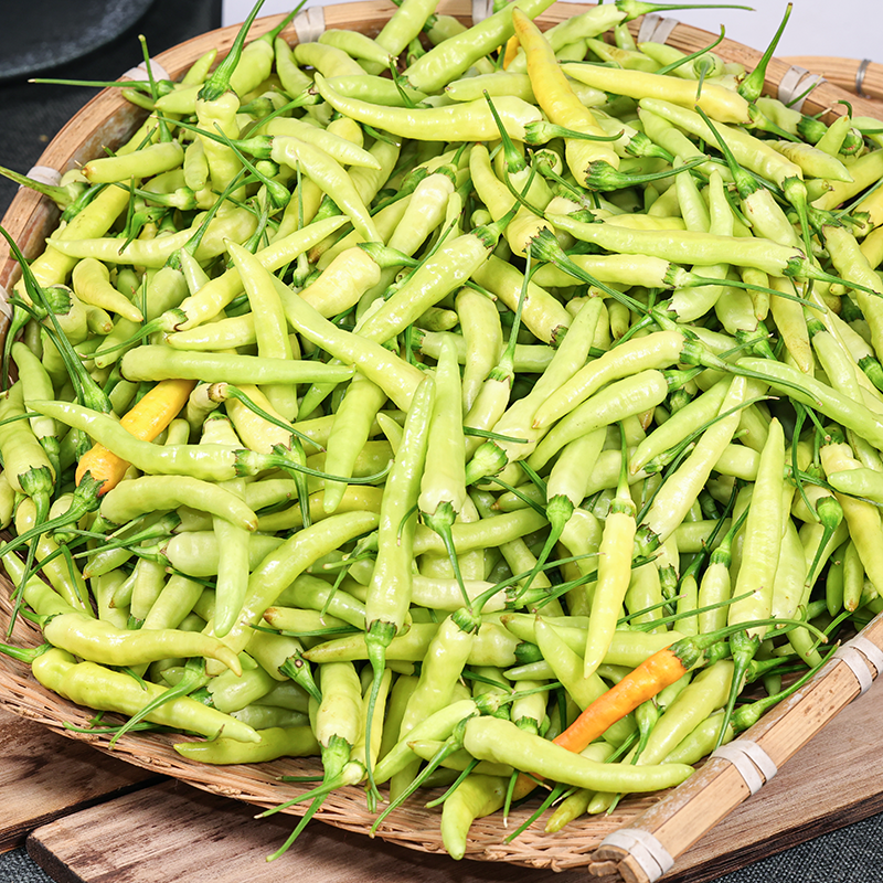  特辣云南正宗皱皮野山椒新鲜白米辣小米辣新鲜泡椒野山椒150g