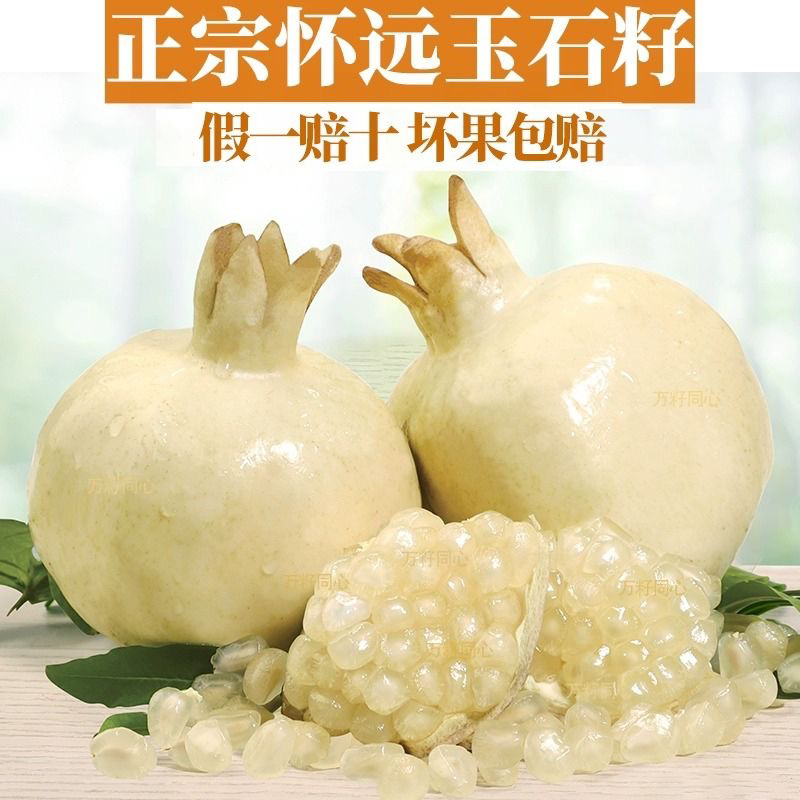 怀远白花玉石籽9两以上大果六个装。头茬大果，现摘现发。