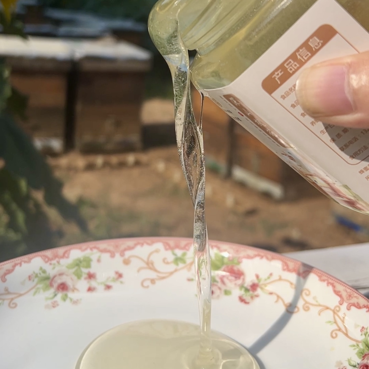 【秋冬润燥】2025最新洋槐蜜槐花蜜蜂蜜天花板凉性蜜种