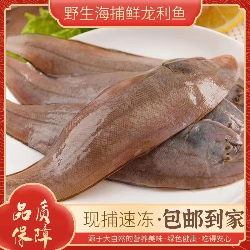 连云港发货  龙利鱼净重  5斤（每条4两左右）