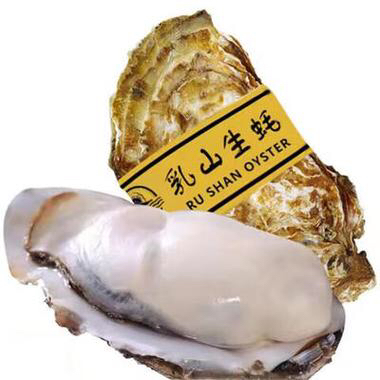 乳山生蚝4两多规格1只
