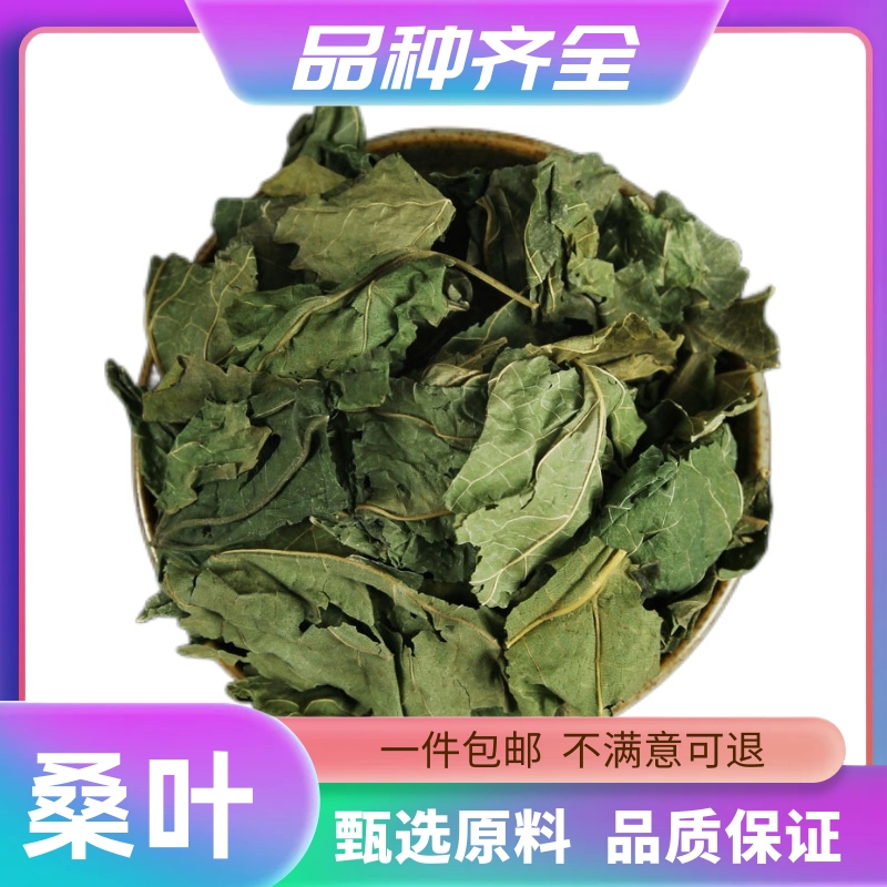 桑叶霜桑叶霜后桑叶桑叶新鲜干货无硫叶粉120g克散装正品桑叶枝干