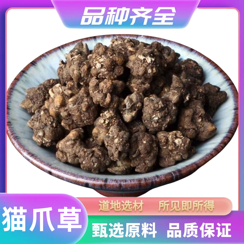 猫爪草猫爪草正品猫爪草新鲜水洗猫爪草包邮猫爪草粉非桑叶