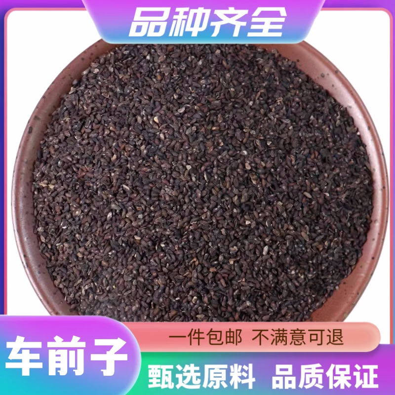 车前子120g包邮正品无硫车前子籽车前子茶车前草籽洋车前籽非枸杞
