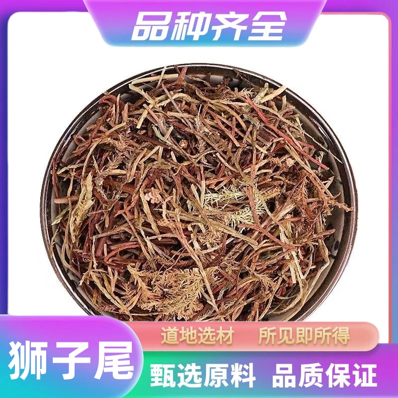 狮子尾120g 包邮 另有玉郎伞 土生地 土甘草 大芦 九牛力 非甘草