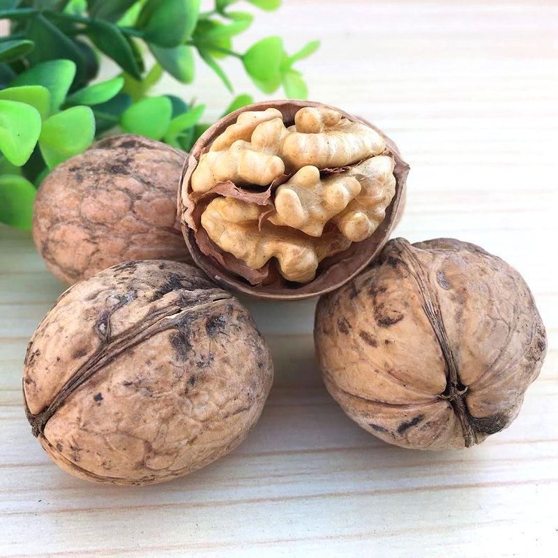 新疆核桃  阿克苏纸皮核桃   新货