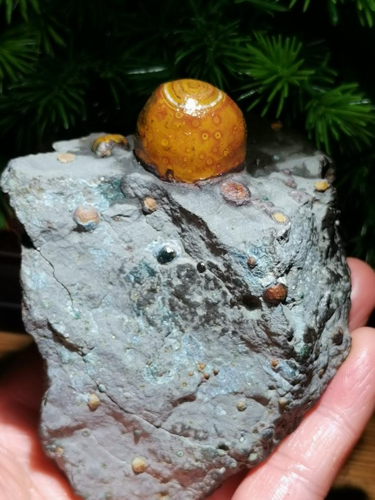 人文家具摆件装饰