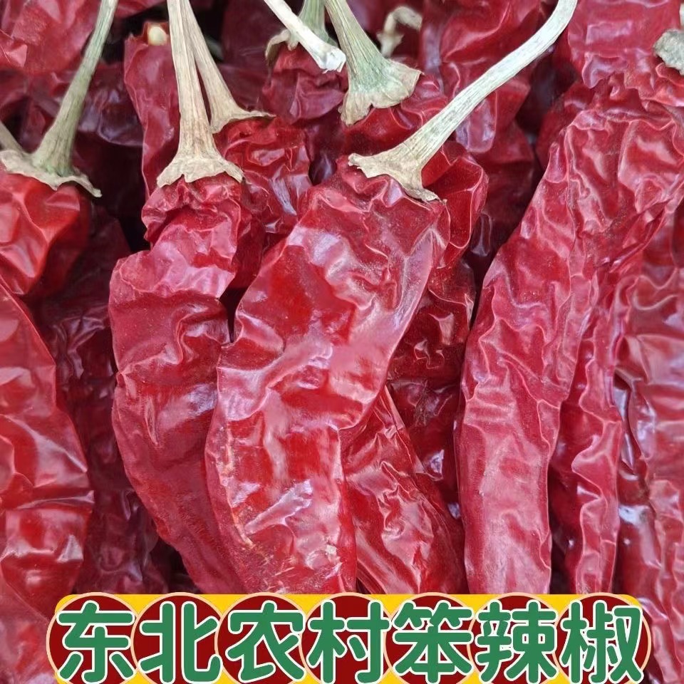  东北干红辣椒农家特产薄皮大红干辣椒晾晒笨辣椒一斤包邮