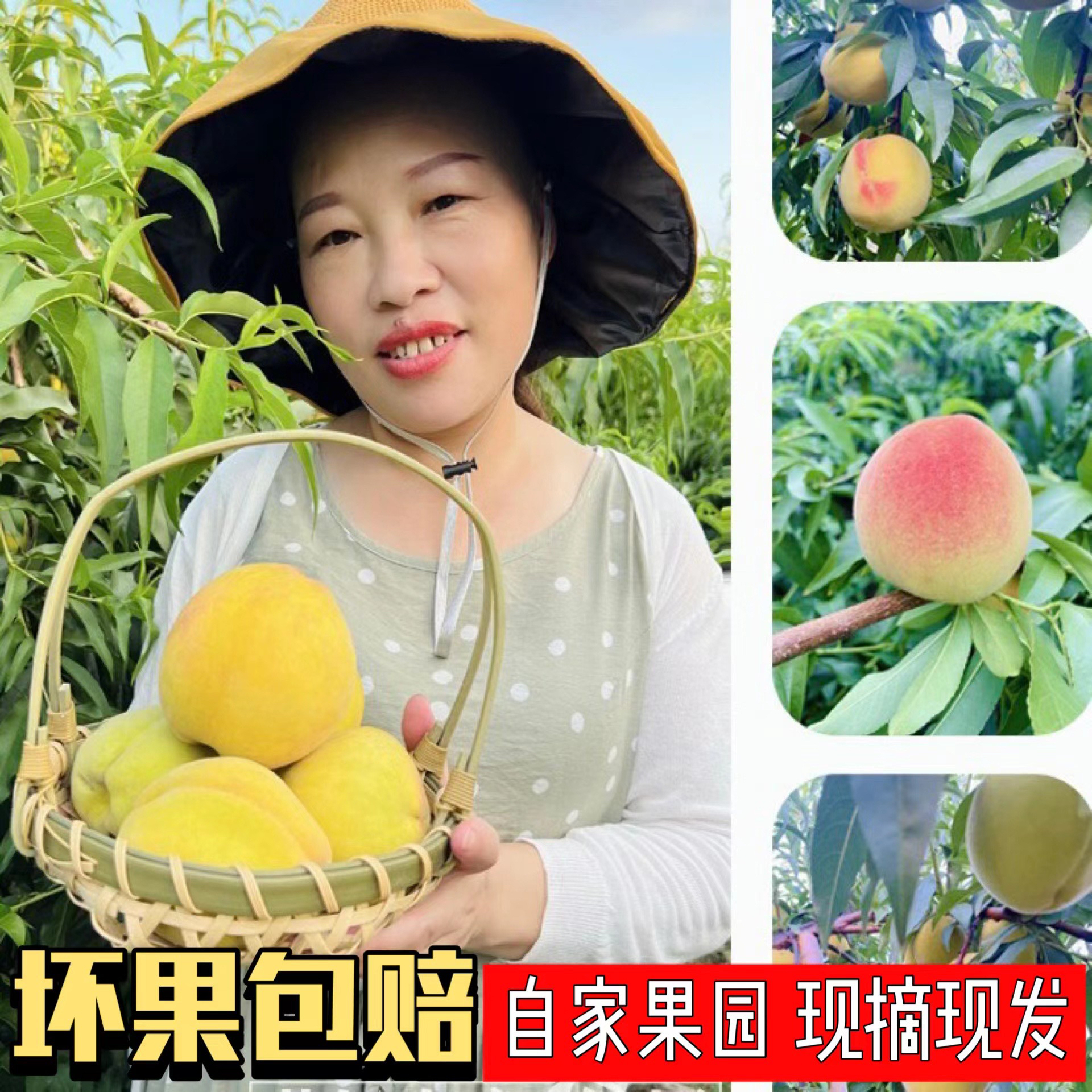 【顺丰发货】安福寺锦绣黄桃黄肉红芯自然成熟现摘现发5斤果园直发