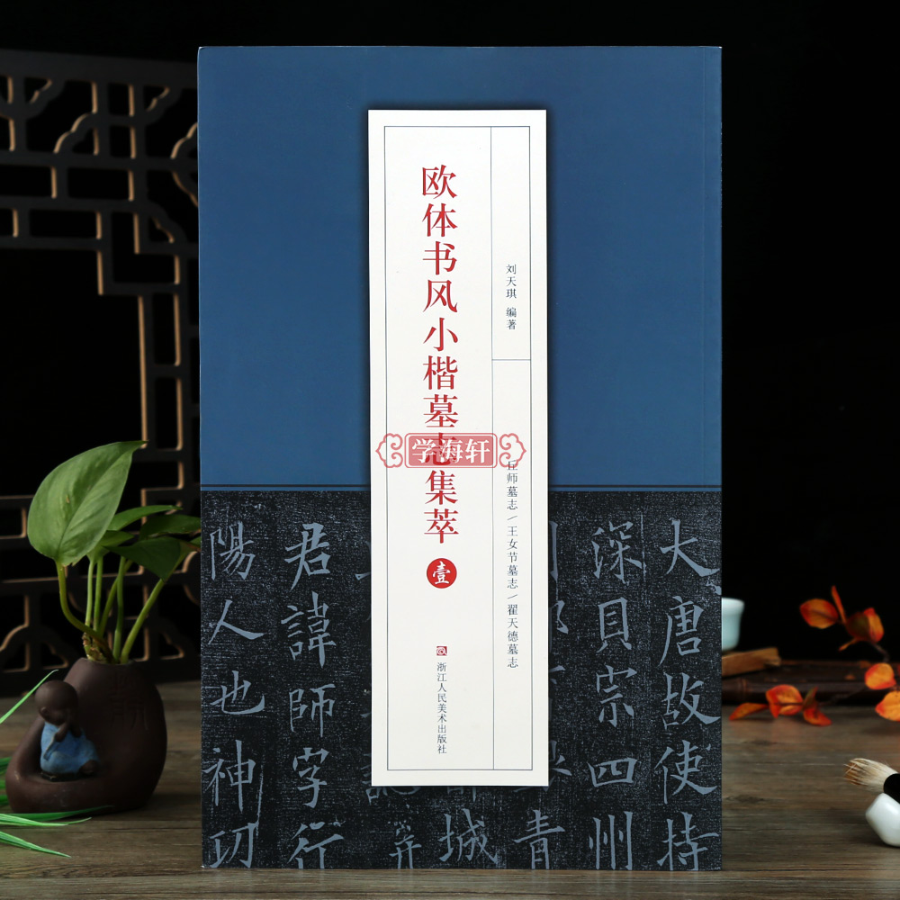 欧体书风小楷墓志集萃壹墓志铭丘师墓志王女节墓志翟天德墓志
