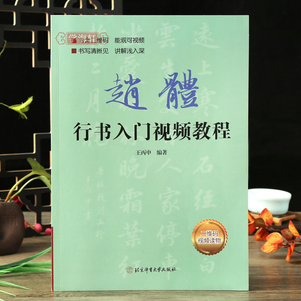 赵体行书入门教程扫码看视频赵孟頫基础训练书基本笔画偏旁部首字