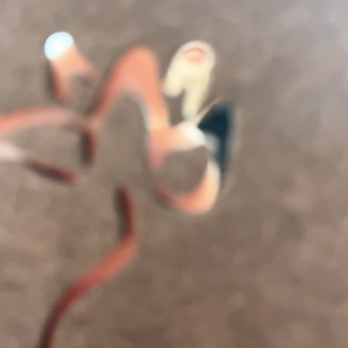 【闪购商品】福利价.****?烛台