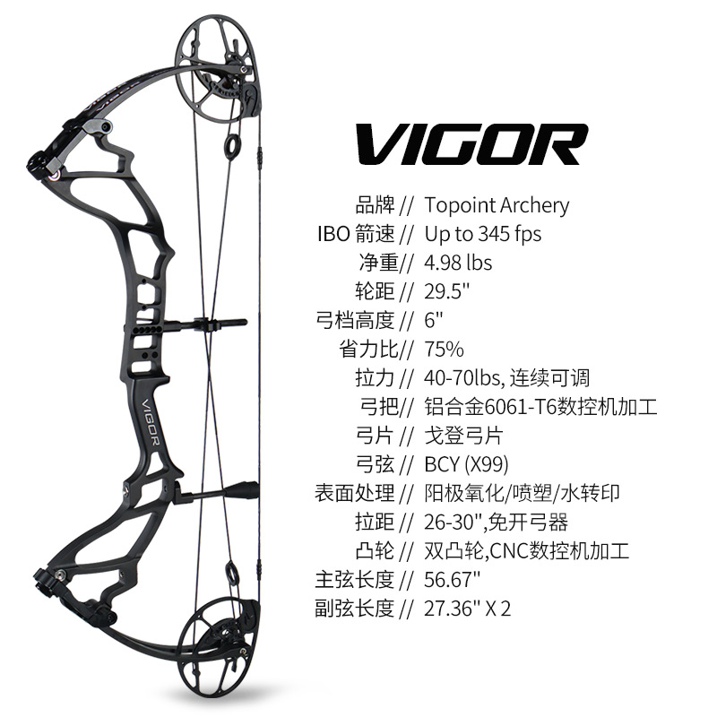 顶点TOPOINT ARCHERY VIGOR活力短轴户外复合弓  X99弦 戈登弓片
