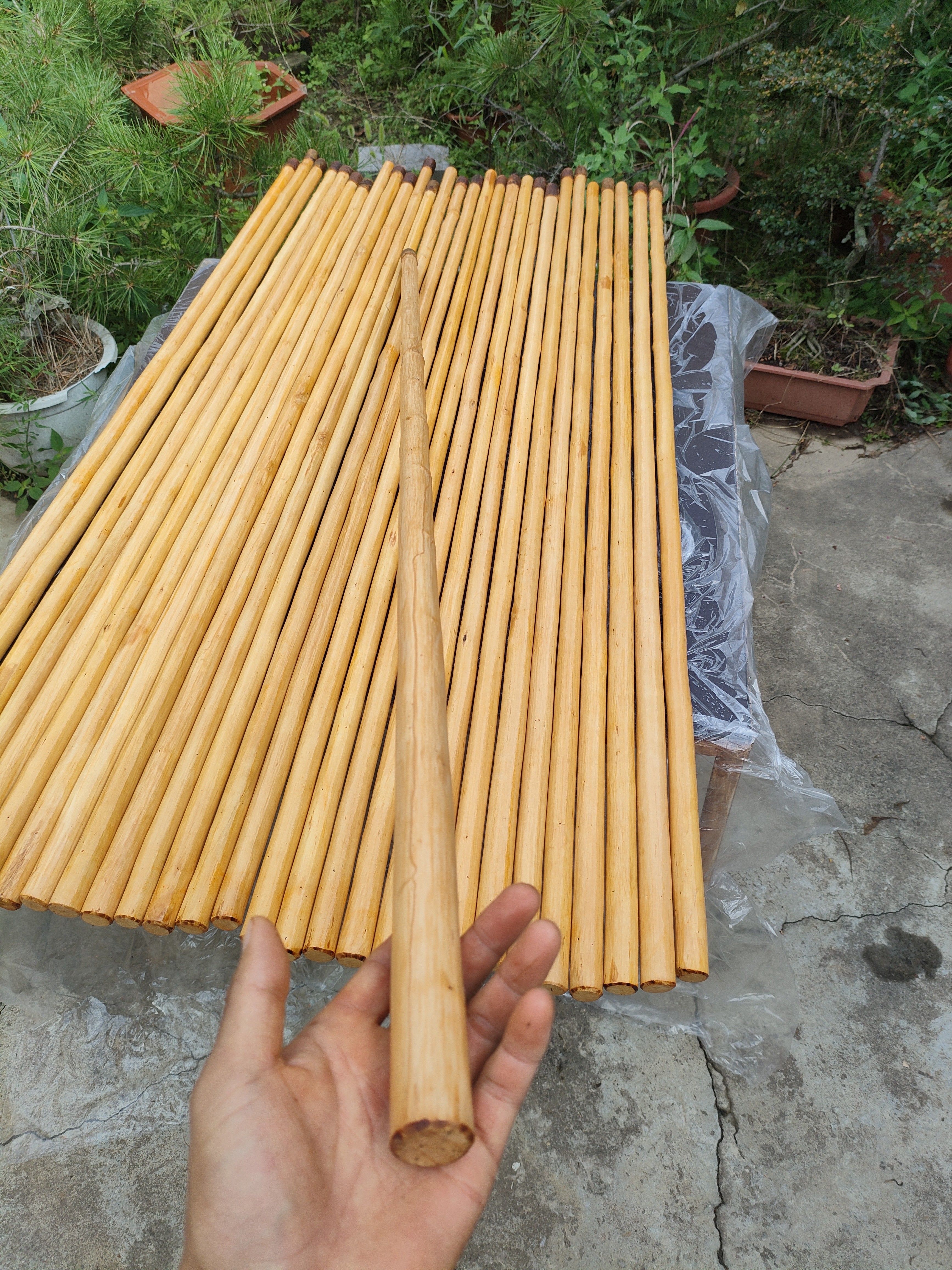 红荀子鞭杆武术棍