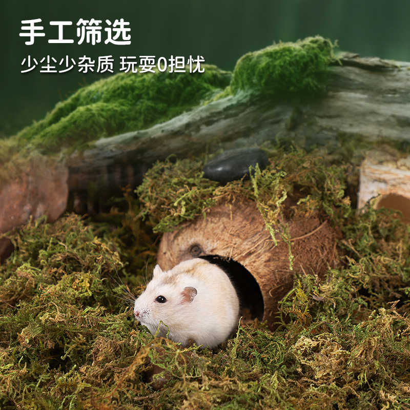 仓鼠森林金丝熊筑巢挖掘笼自然风花枝造景用品仓鼠躲避屋