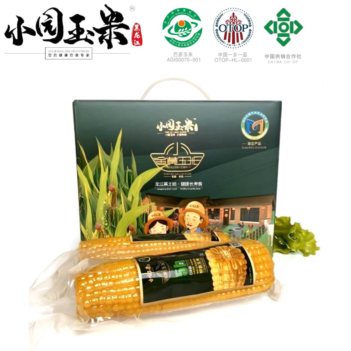 小园玉米东北小金黄品种 农家小园生长 香甜 [美味健康]