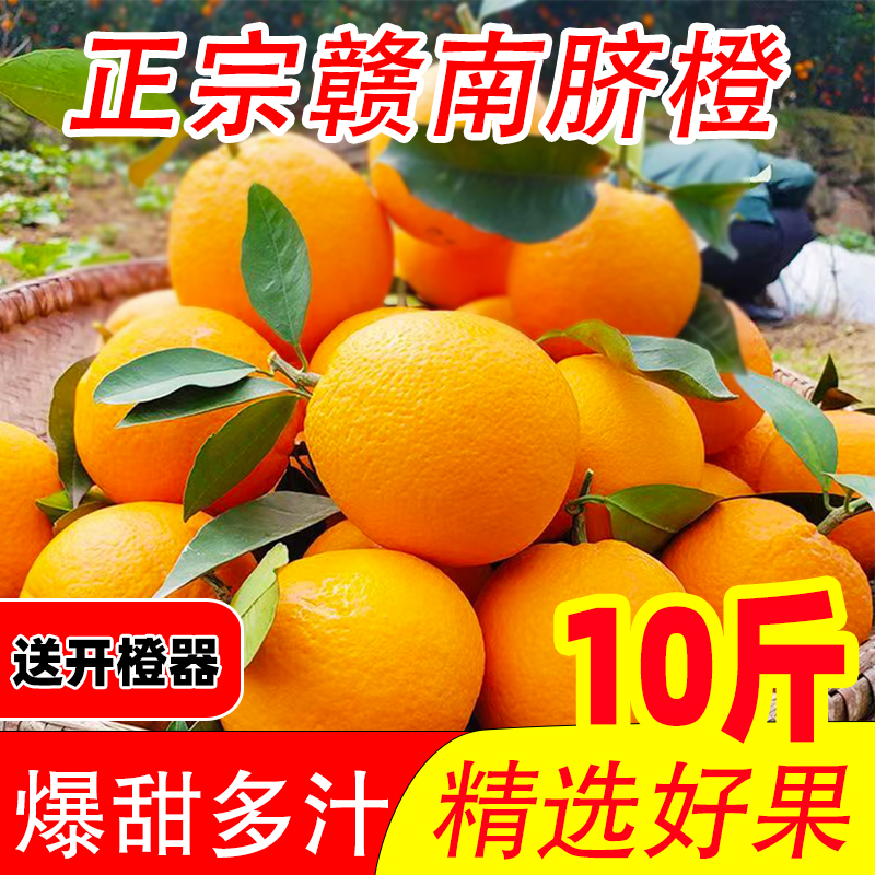 正宗江西赣州赣南脐橙新鲜应季水果香甜橙子赣州产地直发现摘现发