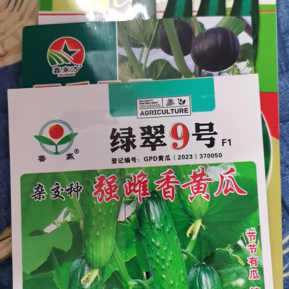 绿翠黄瓜种子拍一发三
