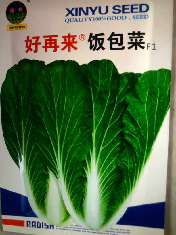 好再来饭包菜种子