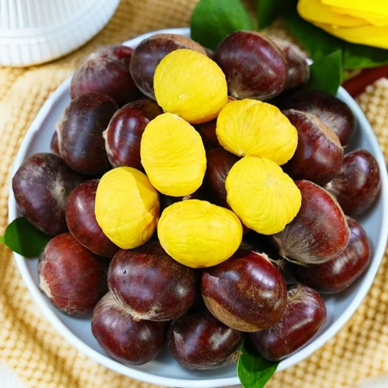 云南高山栗子新鲜香甜老品种板栗