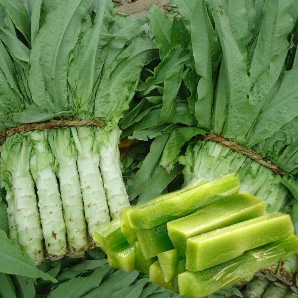 高产耐寒莴笋种子秋冬耐高温青红皮绿肉春秋农家莴苣四季蔬菜种籽