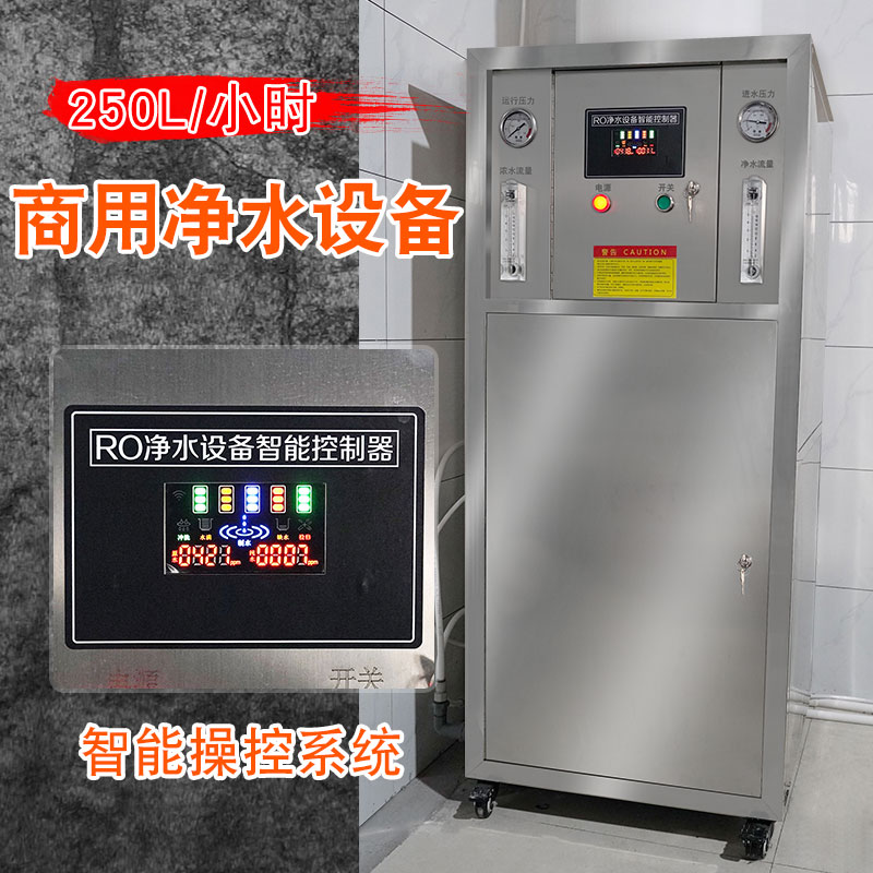 大型商用0.25吨工业级净水机器RO反渗透制水设备去直饮工业净化水