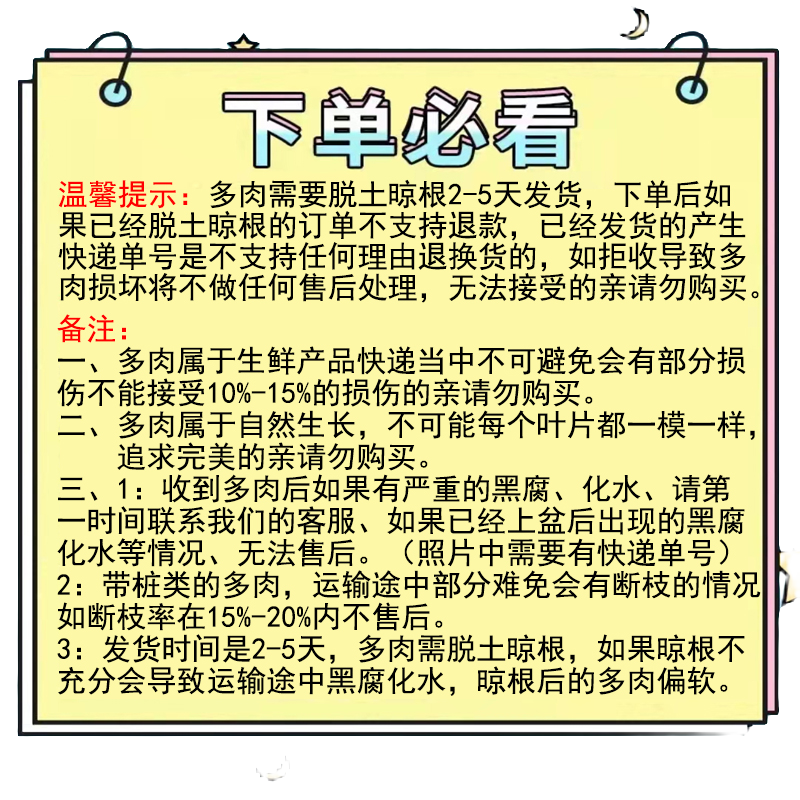 阳阳多肉园艺【寄养发货】