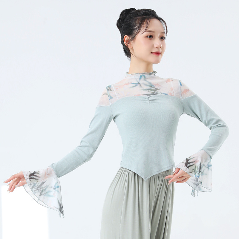 24608现代舞练功服女夏季拼接水袖新款舞蹈服网纱古典舞国风艺考