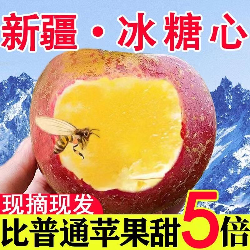 （1~9）正宗新疆阿克苏冰糖心红富士苹果新鲜水果脆甜整箱现货现发