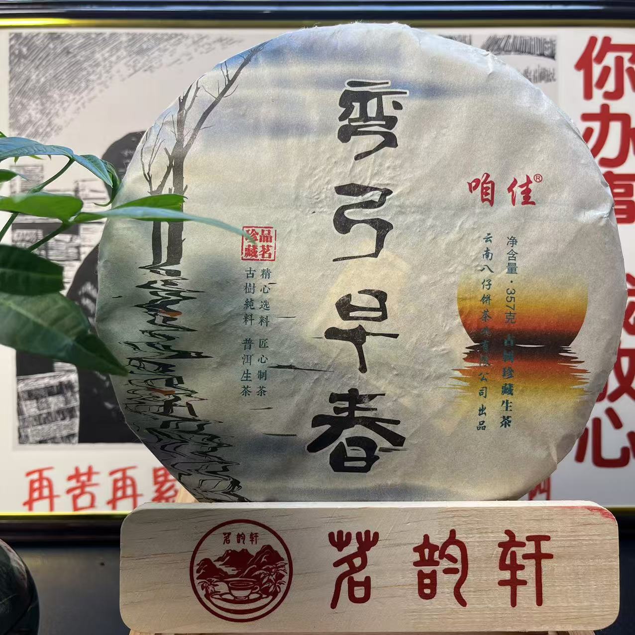 2020年云南普洱茶弯弓早春生茶357g/饼