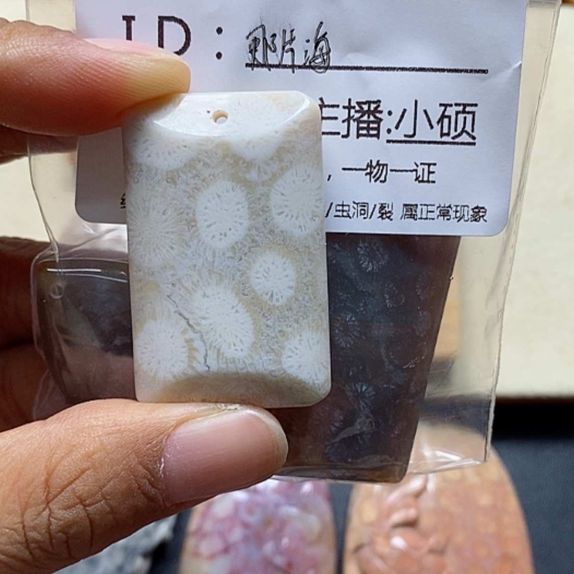 【闪购商品】硅化珊瑚（珊瑚玉）颈饰未镶嵌那*海