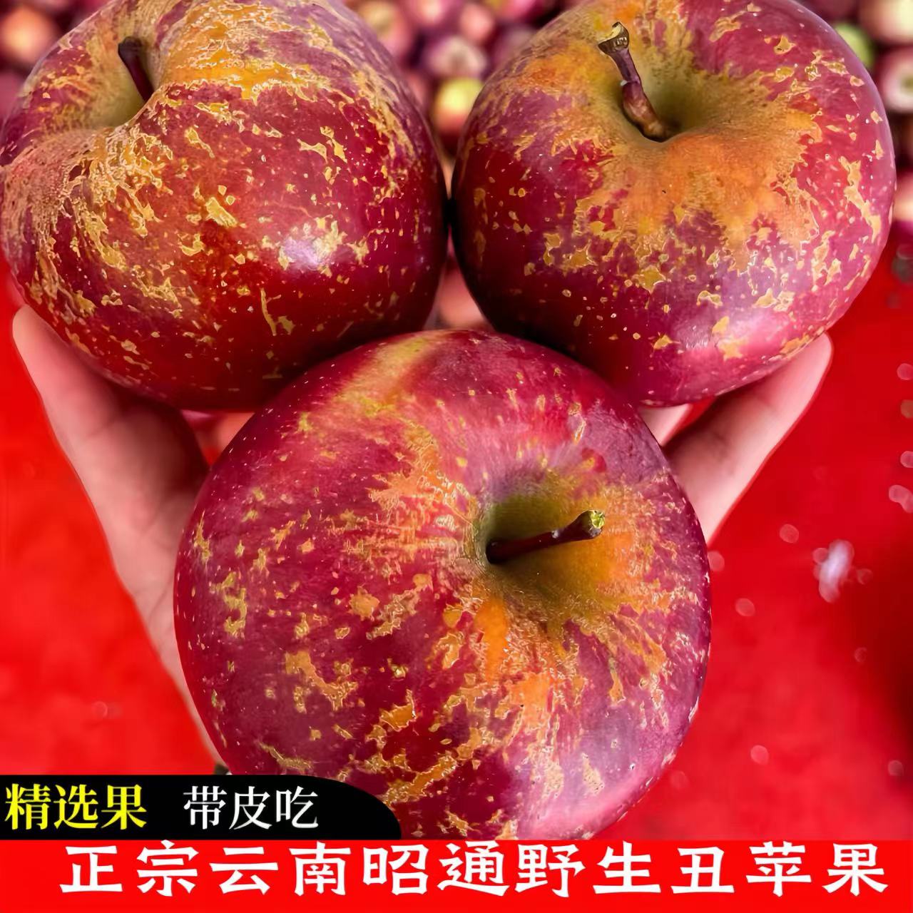 正宗云南昭通冰糖心苹果丑苹果大凉山新鲜脆甜水果糖心苹果5/9斤