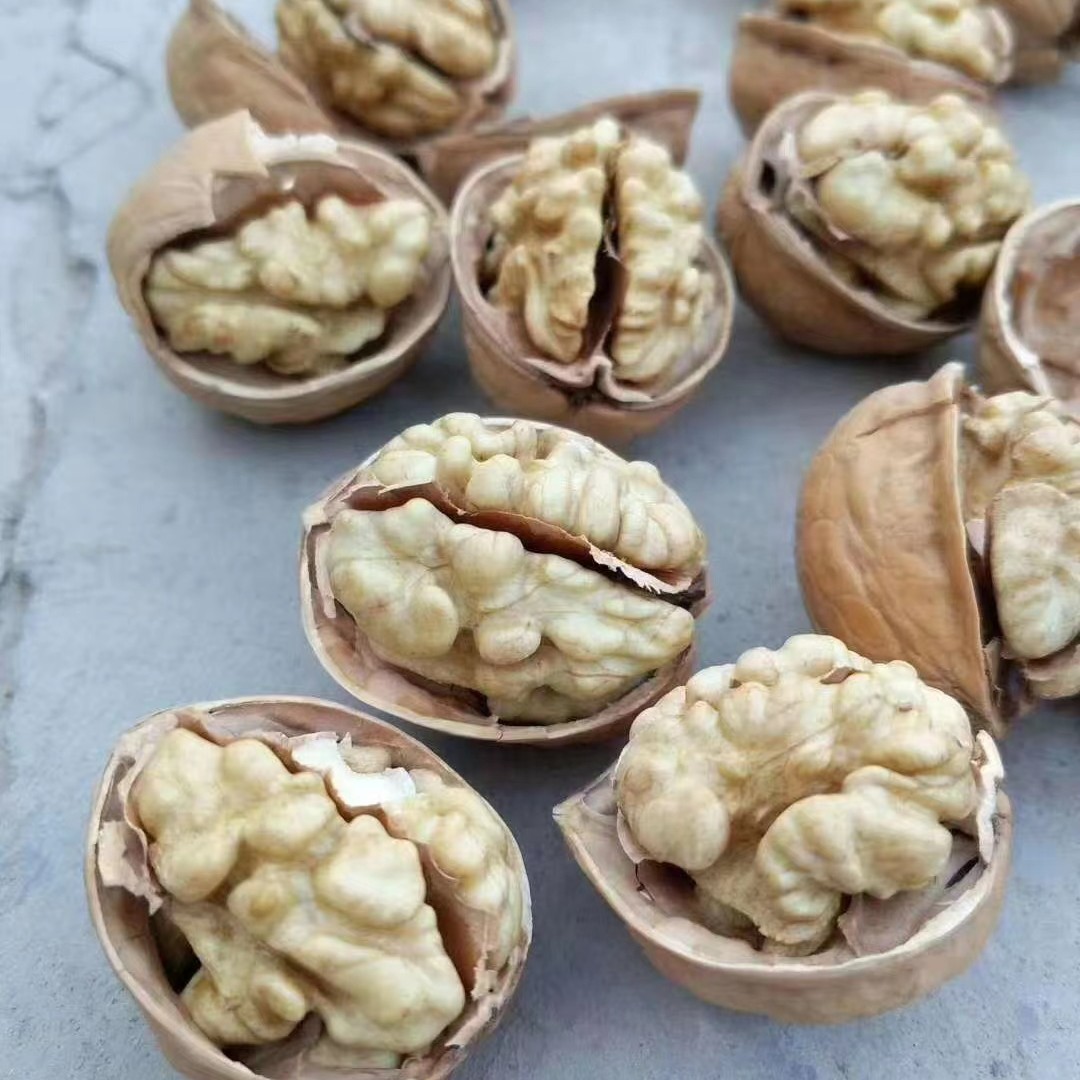 【一斤11】新疆阿克苏185博皮核桃 