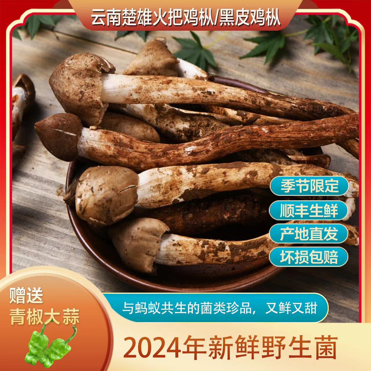 云南野生鸡枞 当季鲜采  火把鸡枞 蛮鸡 顺丰冷链包邮