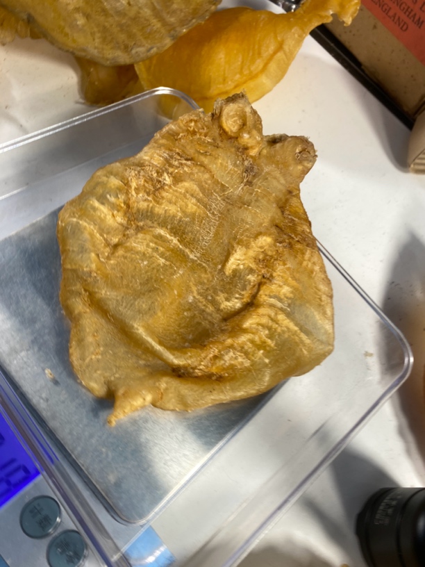 渔胶村赤嘴临时散称1 g一500 g鱼胶广东汕头