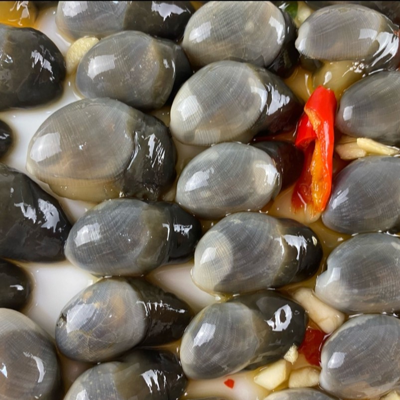 网红开盖即食生鲜腌制海鲜东港特产蒜香无沙大泥螺1000克包邮