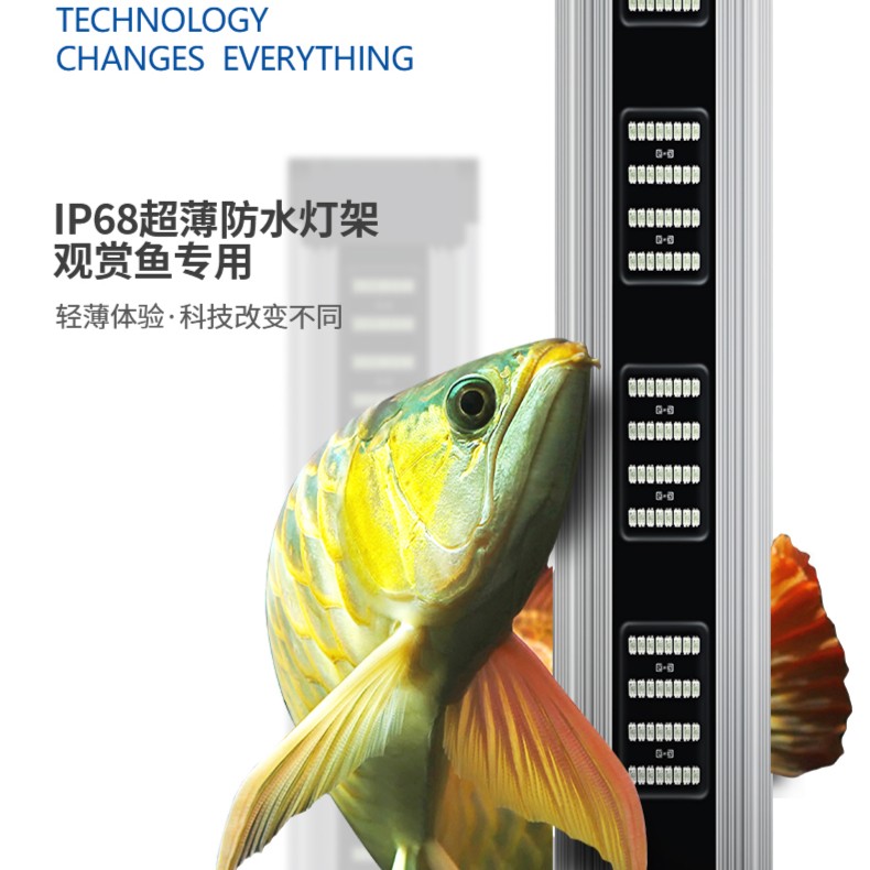 康之杰龙鱼专用灯超薄防水潜水观赏鱼缸灯鹦鹉锦鲤专业LED水草灯